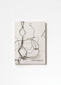 David Hammons - Selected Works