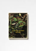 Thomas Demand - La Carte d'après Nature