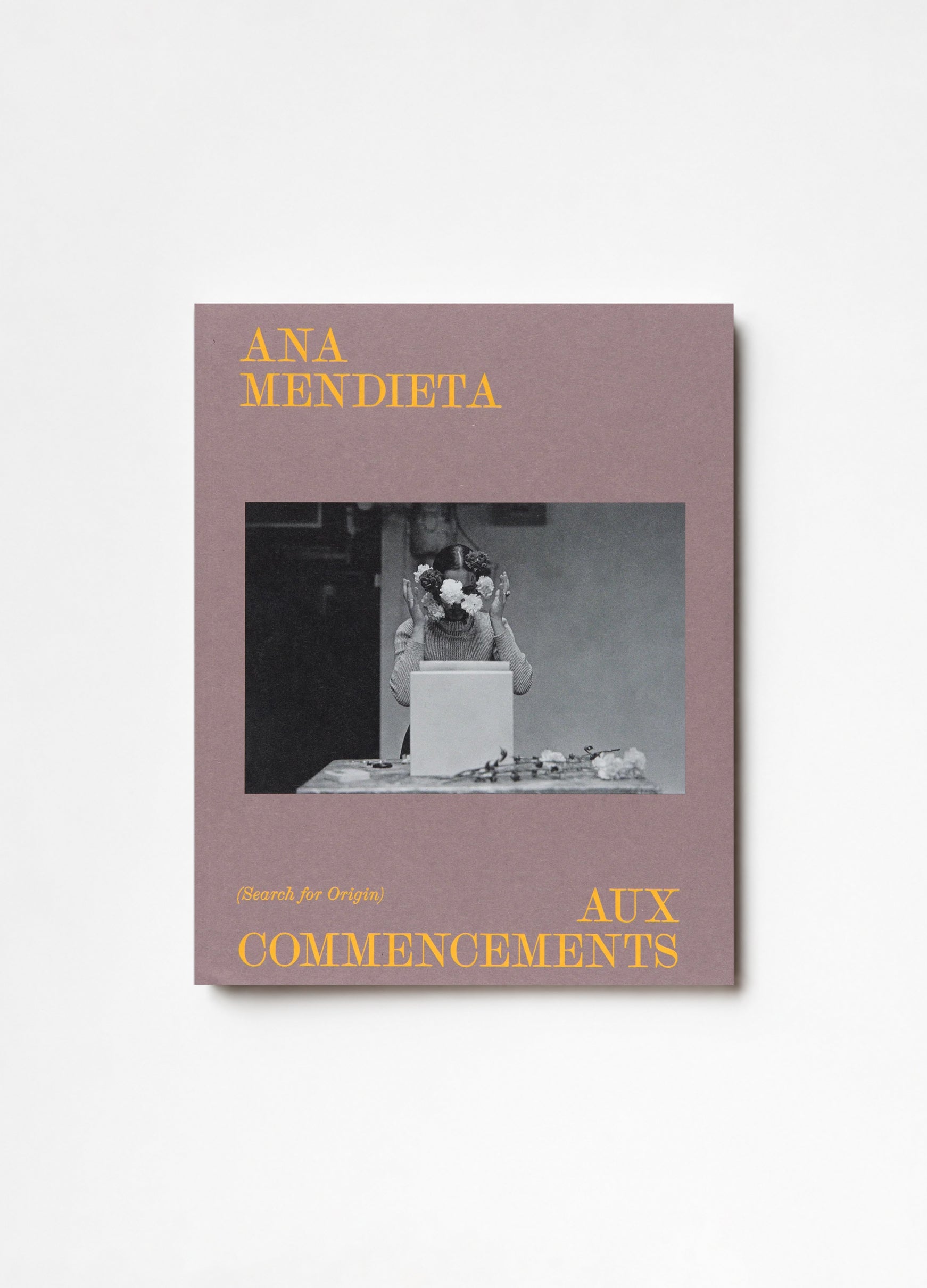 Ana Mendieta - Aux commencements